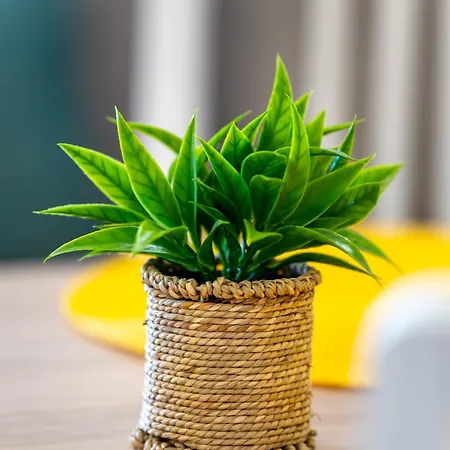 Апартаменты Elagant Nest Two *